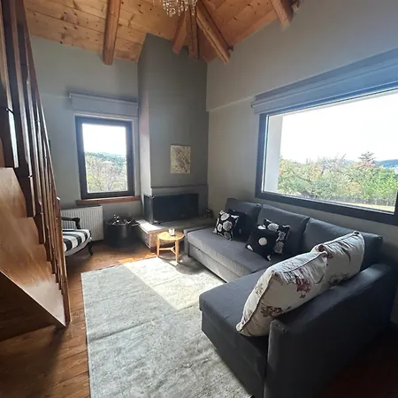 게스트하우스 Agiannorema 4*