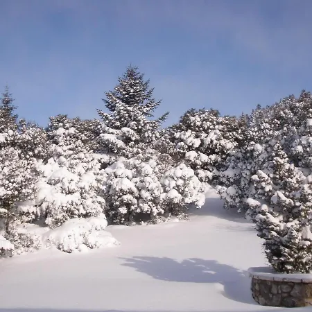 Agiannorema 게스트하우스